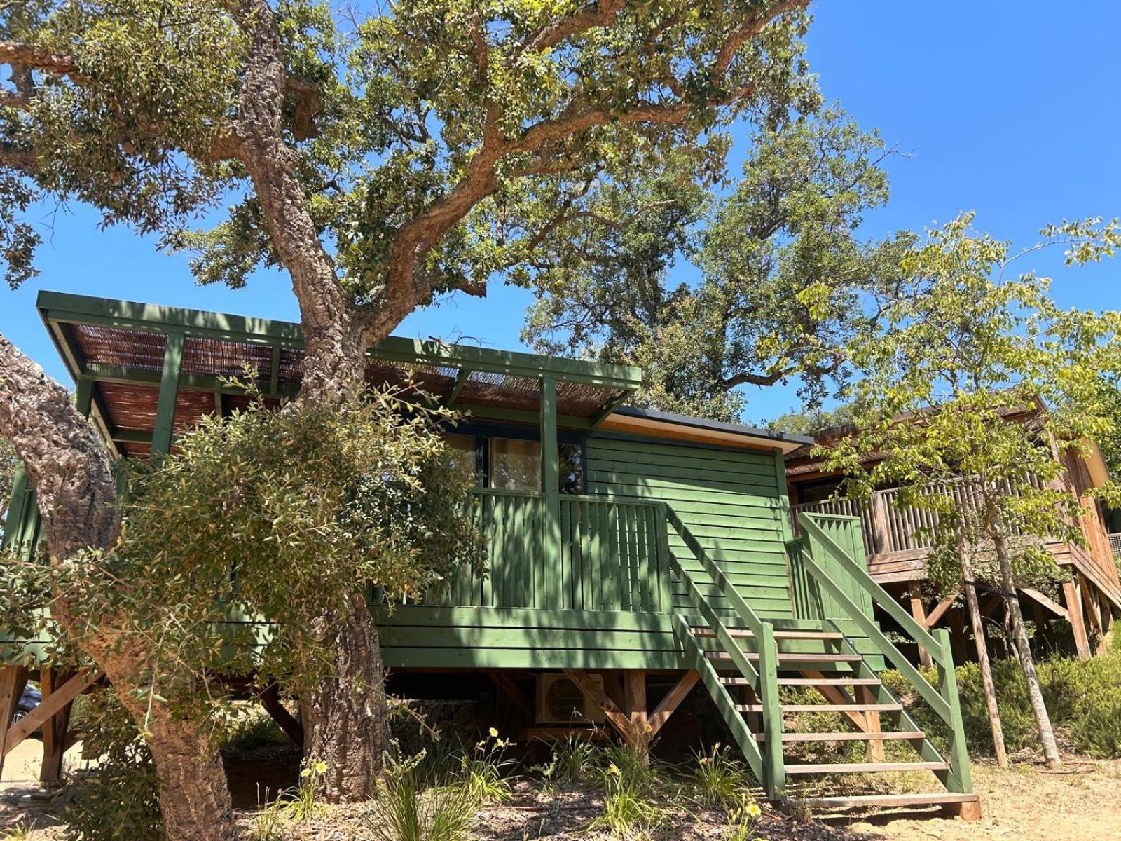 Camping Cala Pola Тоса де Мар Екстериор снимка